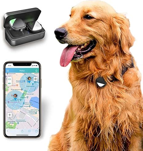 petfon pet gps tracker